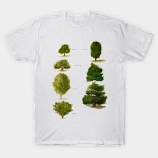 Trees of a Feather T-Shirt